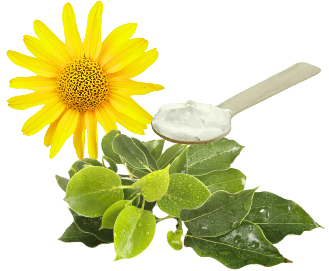 Ingredientes fórmula 3X orgánica